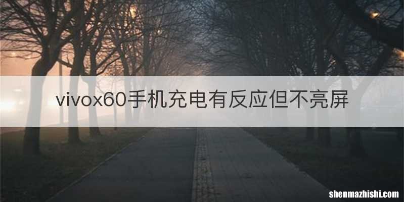 vivox60手机充电有反应但不亮屏