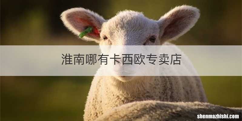 淮南哪有卡西欧专卖店