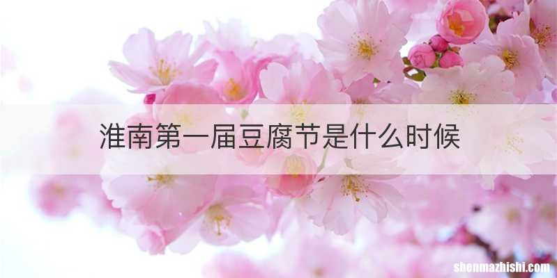 淮南第一届豆腐节是什么时候