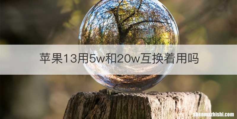 苹果13用5w和20w互换着用吗