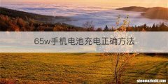 65w手机电池充电正确方法