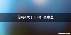 总ige大于300什么意思