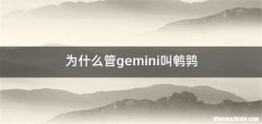 为什么管gemini叫鹌鹑