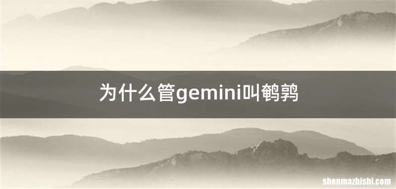 为什么管gemini叫鹌鹑