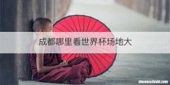 成都哪里看世界杯场地大