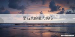 陨石真的没人买吗