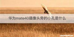华为mate40摄像头旁的小孔是什么