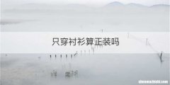 只穿衬衫算正装吗