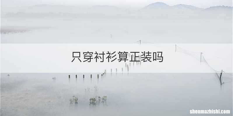 只穿衬衫算正装吗