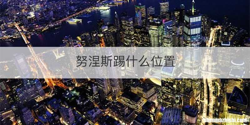 努涅斯踢什么位置