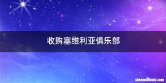 收购塞维利亚俱乐部