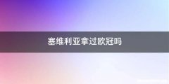 塞维利亚拿过欧冠吗