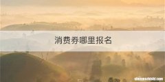 消费券哪里报名