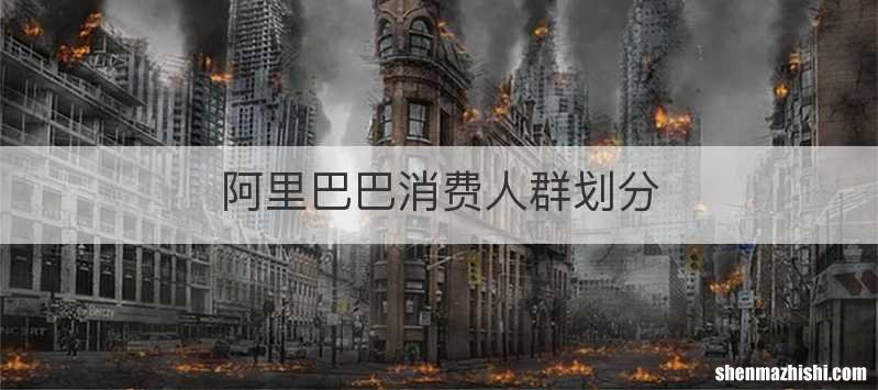 阿里巴巴消费人群划分