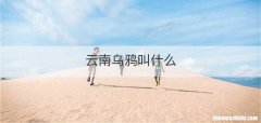 云南乌鸦叫什么