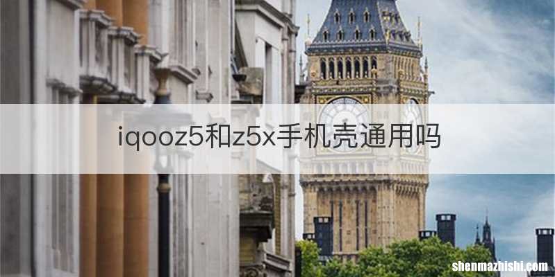 iqooz5和z5x手机壳通用吗