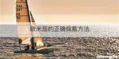 欧米茄的正确佩戴方法