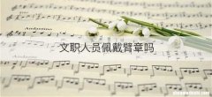 文职人员佩戴臂章吗