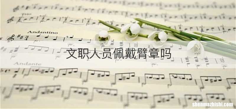 文职人员佩戴臂章吗