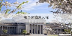 玉金湘酒怎么样