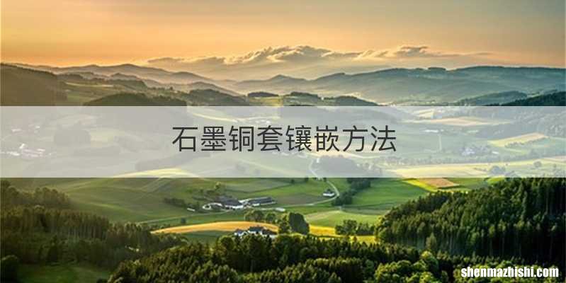 石墨铜套镶嵌方法