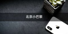 北京小巴黎