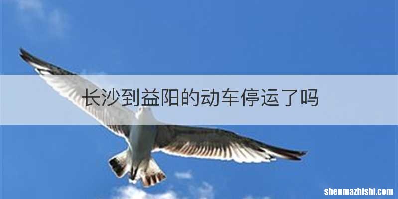 长沙到益阳的动车停运了吗