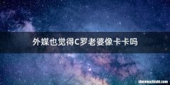 外媒也觉得C罗老婆像卡卡吗