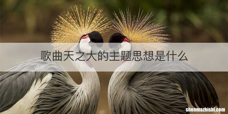 歌曲天之大的主题思想是什么