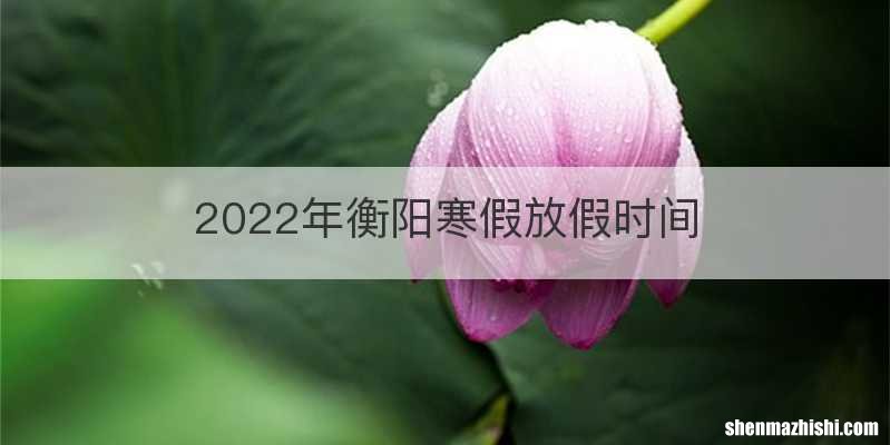 2022年衡阳寒假放假时间