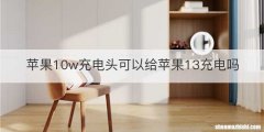 苹果10w充电头可以给苹果13充电吗