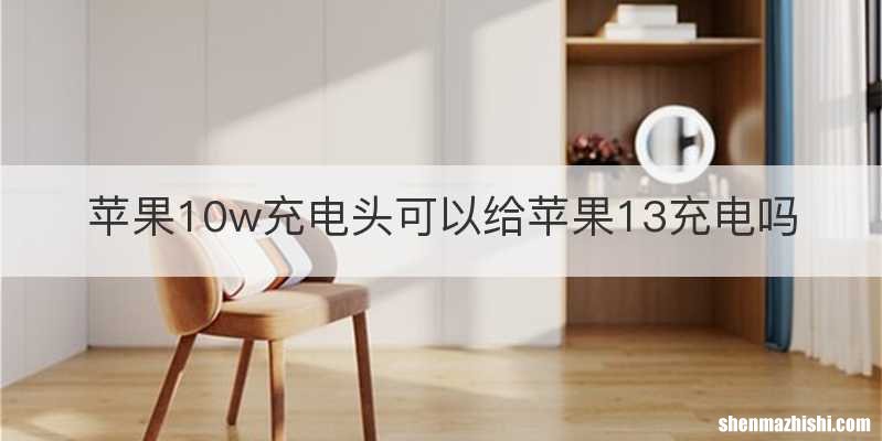 苹果10w充电头可以给苹果13充电吗
