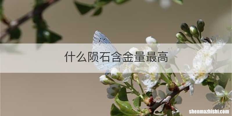什么陨石含金量最高