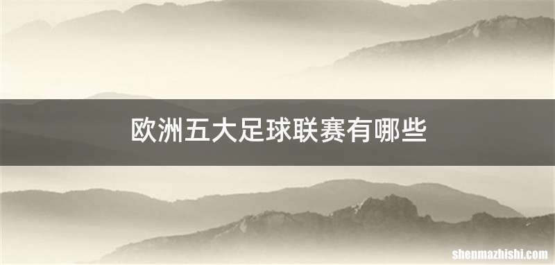 欧洲五大足球联赛有哪些