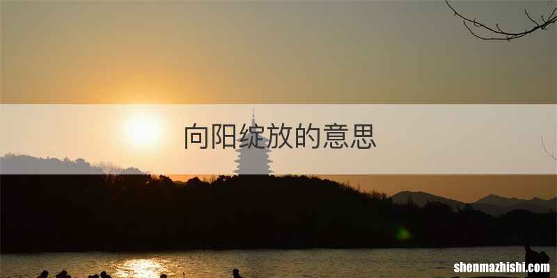 向阳绽放的意思
