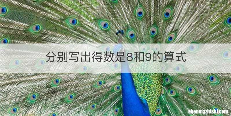 分别写出得数是8和9的算式