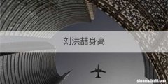刘洪喆身高