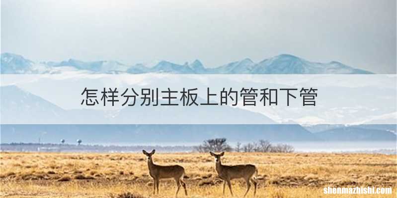怎样分别主板上的管和下管