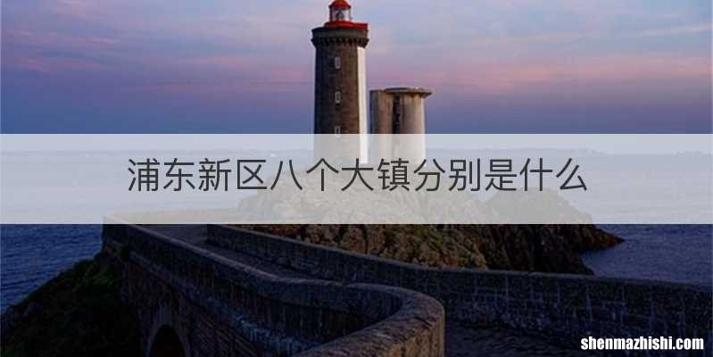 浦东新区八个大镇分别是什么