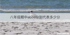 八年级期中abcd分别代表多少分