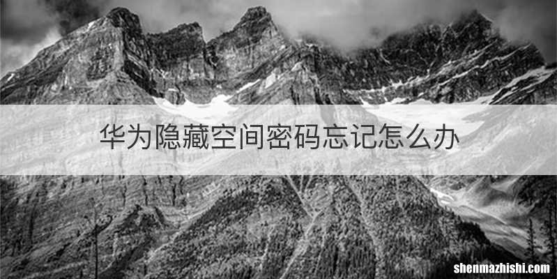 华为隐藏空间密码忘记怎么办
