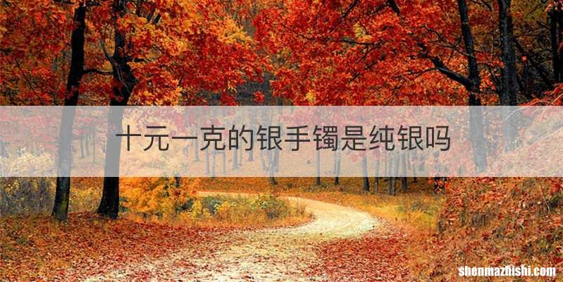 十元一克的银手镯是纯银吗