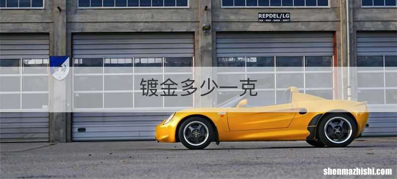 镀金多少一克