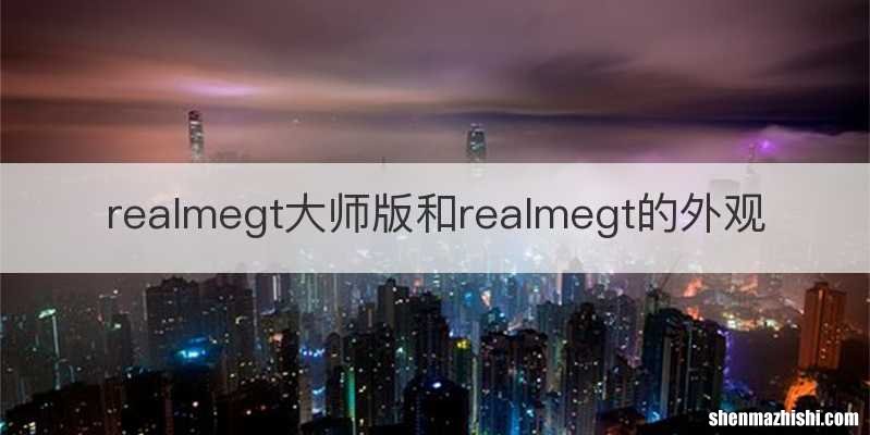 realmegt大师版和realmegt的外观