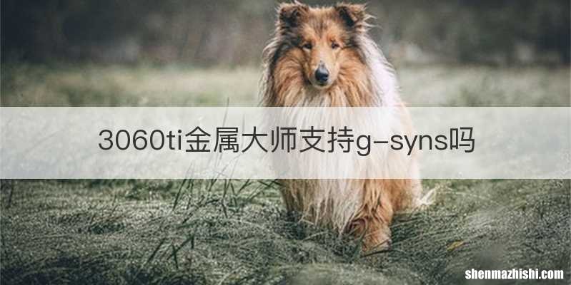3060ti金属大师支持g-syns吗