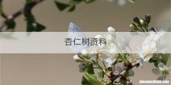 杏仁树资料