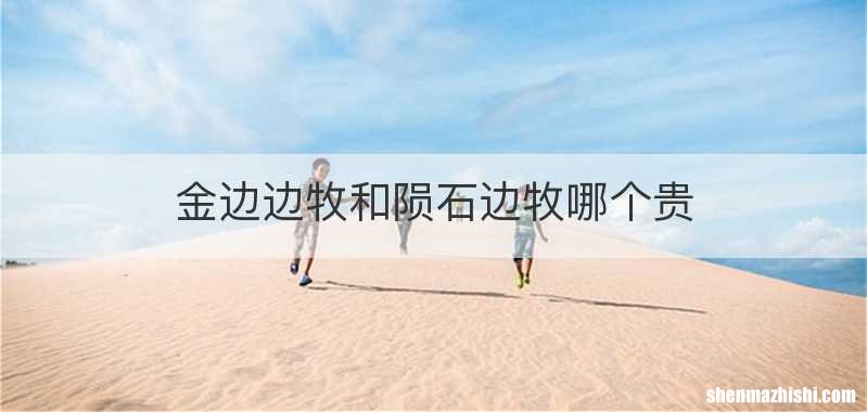 金边边牧和陨石边牧哪个贵