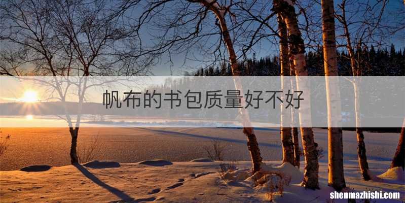 帆布的书包质量好不好