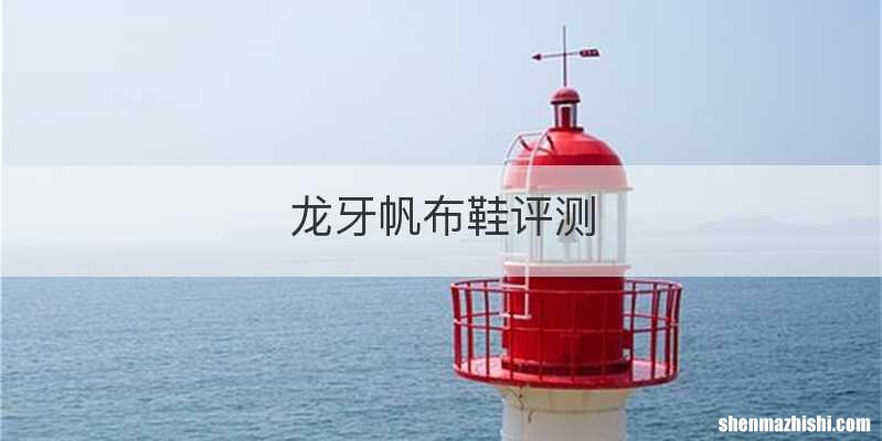 龙牙帆布鞋评测