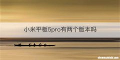 小米平板5pro有两个版本吗